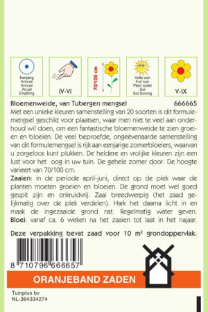 OBZ Van Tubergen bloemenweide mengsel - Afbeelding 2