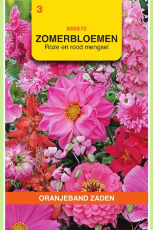 OBZ Zomerbloemen mengsel, roze/rood - Afbeelding 1