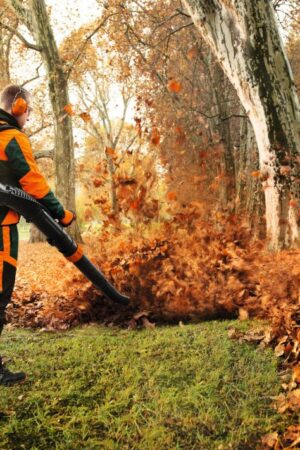 STIHL BR 700 ruggedragen benzine bladblazer - Afbeelding 2