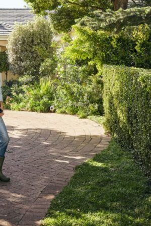 STIHL HSA 50 accuheggenschaar - Afbeelding 2