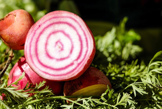 beetroot-gf1c11fbd1_640-1.jpg - Tuincentrum Bos Park Tuin Roden beetroot-gf1c11fbd1_640-1.jpg