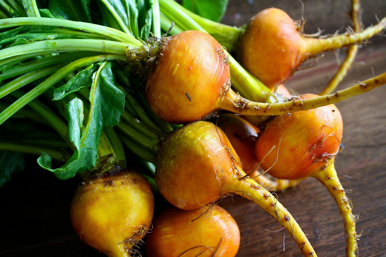 beets-g6ea306e75_1280.jpg - Tuincentrum Bos Park Tuin Roden beets-g6ea306e75_1280.jpg
