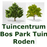 cropped-logo_BPT-250x250-1.jpg - Tuincentrum Bos Park Tuin Roden cropped-logo_BPT-250x250-1.jpg