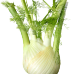 fennel-g65d43f82b_640.png - Tuincentrum Bos Park Tuin Roden fennel-g65d43f82b_640.png