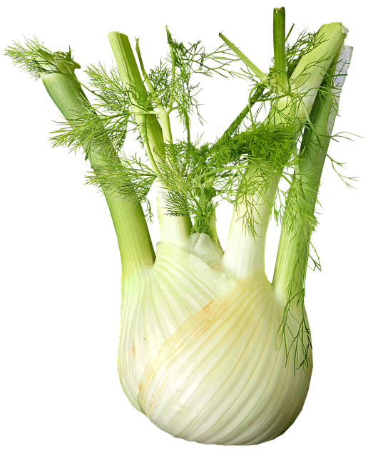 fennel-g65d43f82b_640.png - Tuincentrum Bos Park Tuin Roden fennel-g65d43f82b_640.png