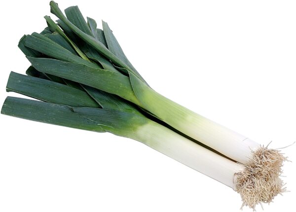 leek-welsh-onion-vegetable-calcot-2297936-scaled-1.jpg - Tuincentrum Bos Park Tuin Roden leek-welsh-onion-vegetable-calcot-2297936-scaled-1.jpg