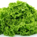 lettuce-g9d920d770_640.jpg