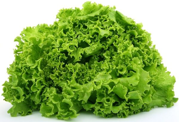lettuce-g9d920d770_640.jpg