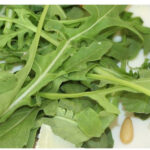 xr:d:DAFpusrG85A:2,j:5188544494686918863,t:23072610