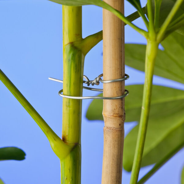 Binddraad gegalv 07mm x 50m