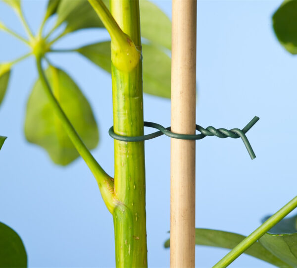 Binddraad gepl 12mm x 50m