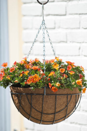 Hanging Basket groen 25 cm gevuld