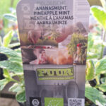 ananas munt