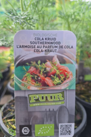 cola kruid