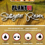 stuttgarter riesen