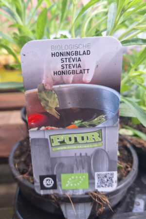 stevia