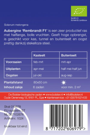 Aubergine Rembrandt F1