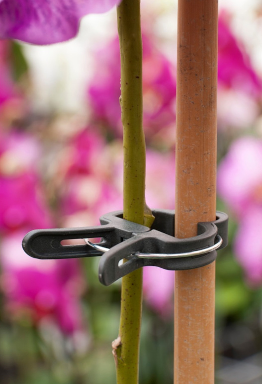 Plantenclip 24mm 10 stuks1